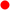 czerwony