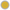złoty